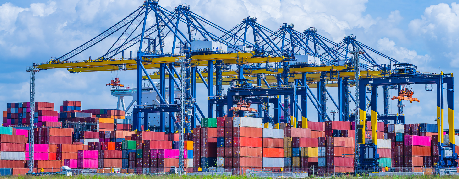 Export Import Banner